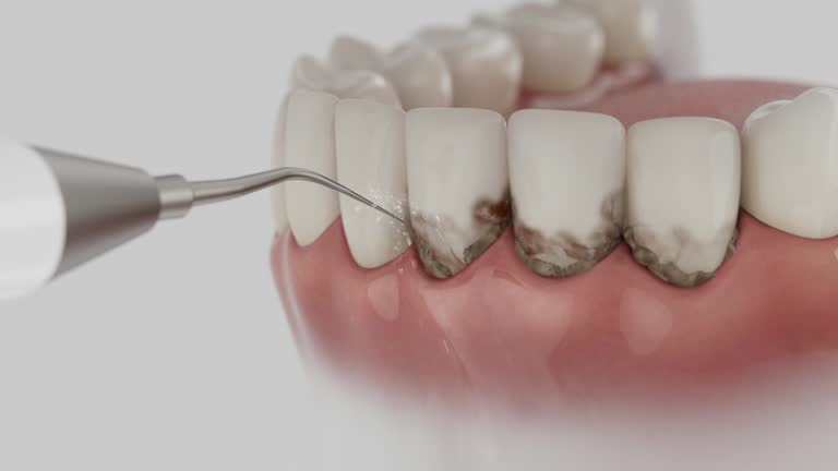 Reliable Dental contractor in The Plains, OH by Dentist Open Now